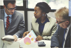 Project Consulting